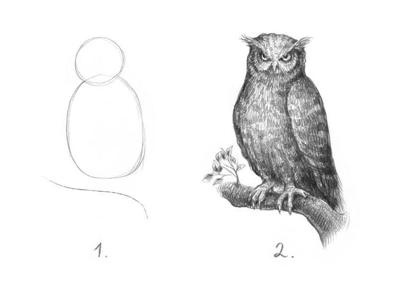 Draw an owl in two steps meme